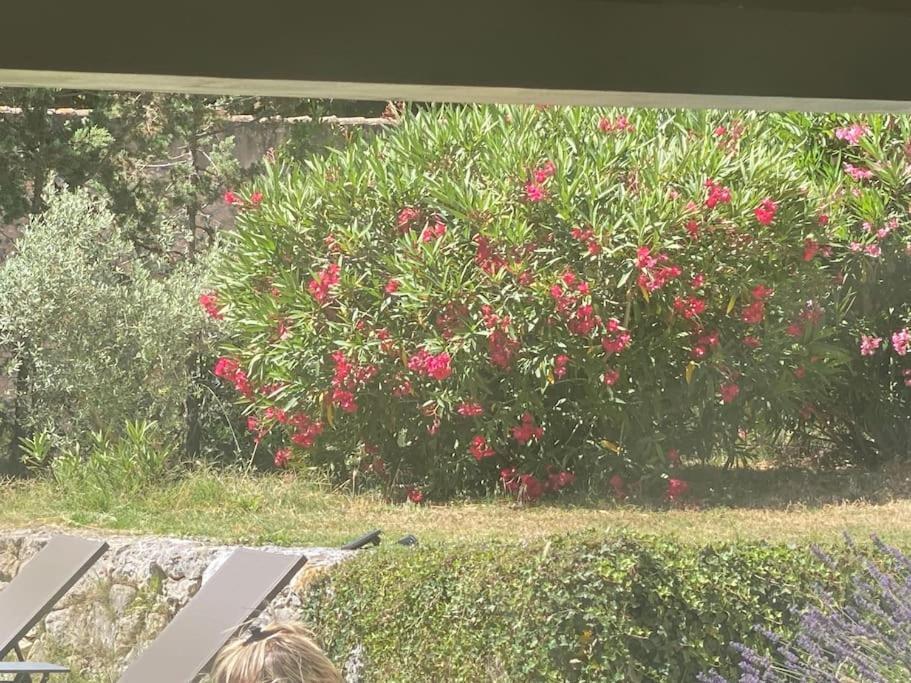 Ar De Vie Villa Chaleureuse En Provence Ventabren Exteriér fotografie
